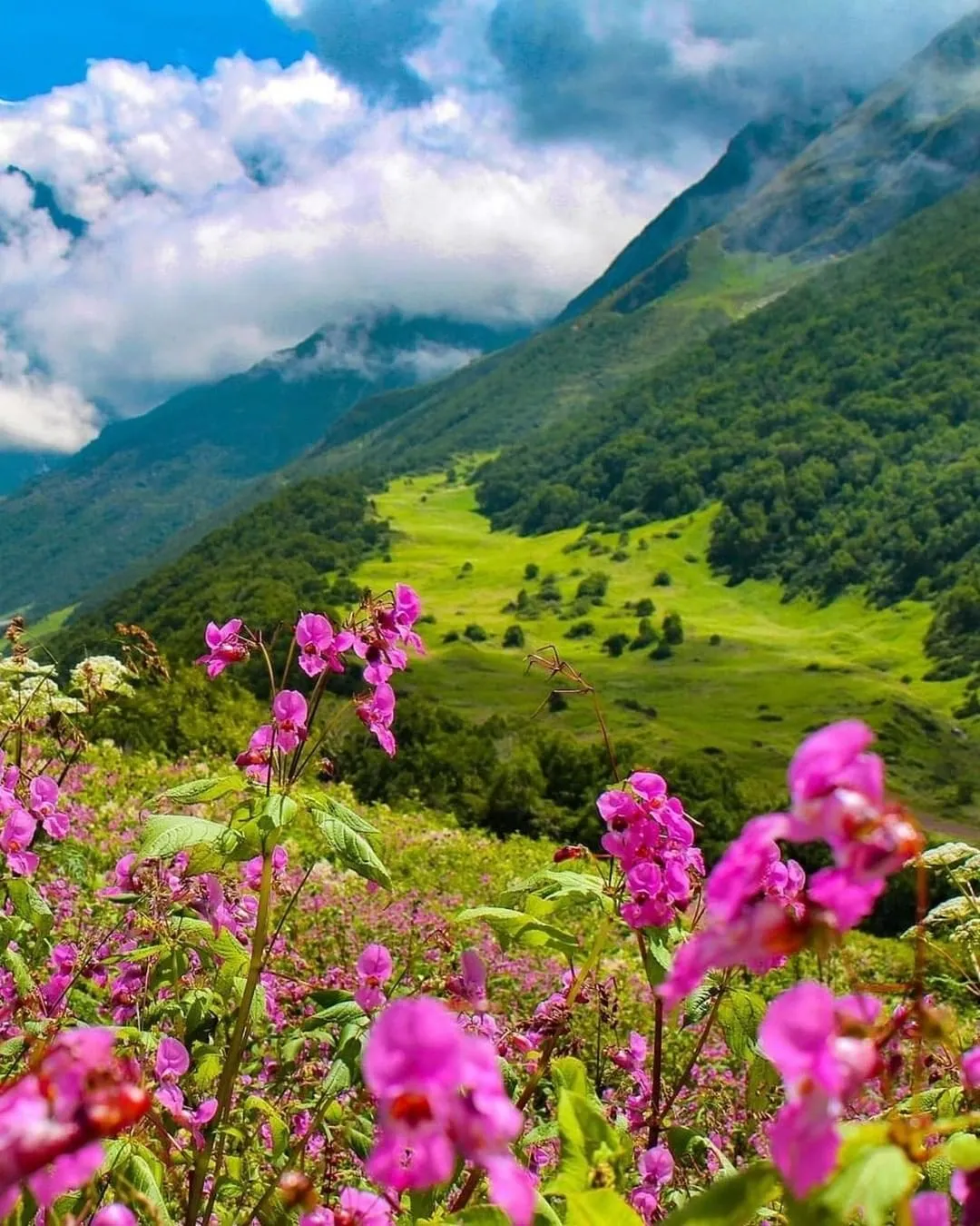 Taxi Service in Delhi